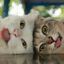 I'm a cat, mlem Avatar