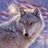 The Wolf Den Chat