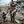 The Children of Gaza avatar