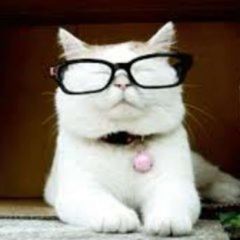 Catturd ™️ avatar