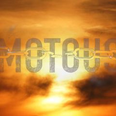MOTOUS avatar