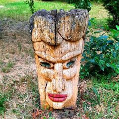 🍀🦔🚌 Маршрутка Київ - Бородянка ☀️🌲🗿 #БордоТГ avatar