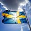 Sverige Först Avatar