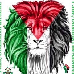 Free Palestine🇵🇸 avatar