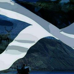 ResistingTheLies avatar