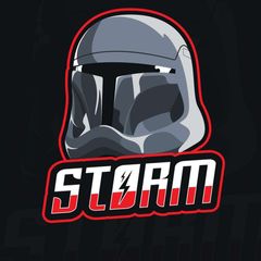 STORM | Туманная аналитика avatar