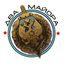 Два майора Avatar