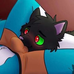 Gay Furry Stash avatar