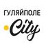 Гуляйполе.City Avatar