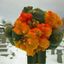 گـلــــــــــدونــــــی Avatar