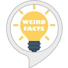 Weird Facts 🧠 avatar
