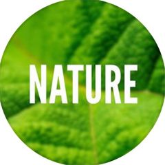Nature 🌏 avatar