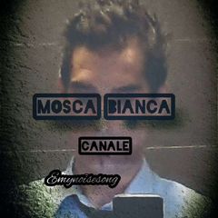 MOSCA BIANCA avatar
