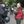 Andrea-Drescher-Texte avatar