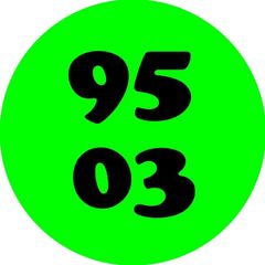 9503 avatar