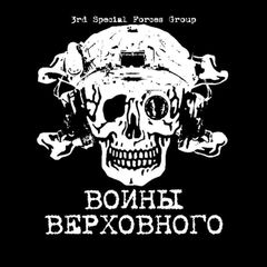 ВОИНЫ ВЕРХОВНОГО avatar