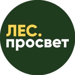 ЛесПросвет | Сибирский кедр avatar