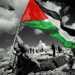 Hamas- Online English avatar