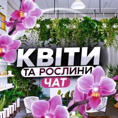 Квіти та рослини ЧАТ avatar