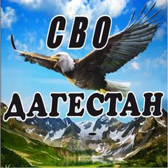 СВО Дагестан avatar