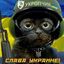 Хунта info Avatar