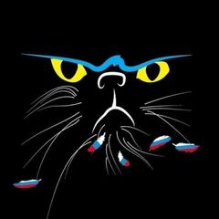 МАРТівський кіт | Новини Миколаєва avatar