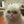 Broken Cats avatar