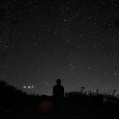 مش ضروري . avatar