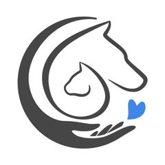 Приют «Помоги жить» г. Калуга avatar