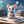 🐭Viv publications avatar