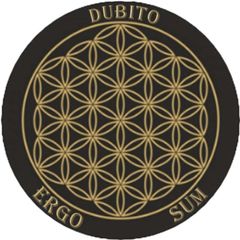 📿༺DUBITO ERGO SUM༻🧘🏻 avatar