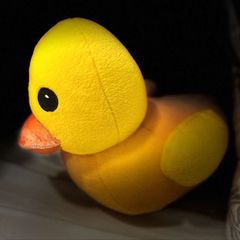 Oh my duck! avatar