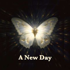 A New Day ఌ avatar