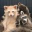 animals confession🐾 Avatar