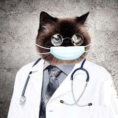 Medical photo album Медицина для профи врачи медики avatar