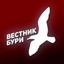 Вестник Бури Avatar