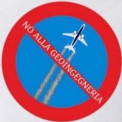 Geoingegneria - Osservatorio nazionale avatar