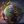 Beautiful universe avatar