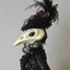 Victorian corvid asylum 🫀🐀 Avatar