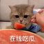 新电报吃瓜#色情版 Avatar