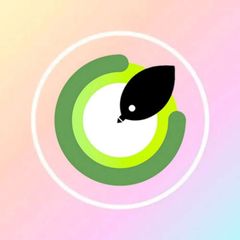 私密树洞 avatar