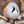 Roumd Birds and Squirrels avatar