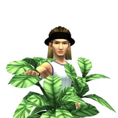 Primitive Hi-Tek avatar