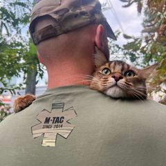 ⚕️Рудий avatar