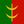 🇰🇬 𐰴𐰃𐰼𐰴𐰃𐰔 KAGANAT avatar
