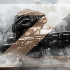 «Спецоперация Z» | Юрий Подоляка+ avatar