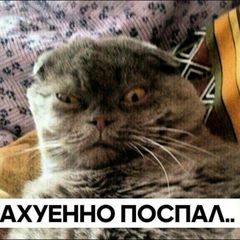 Укуренные козлы avatar