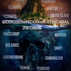 EXPOSEthePEDOSendOfTheCABAL avatar