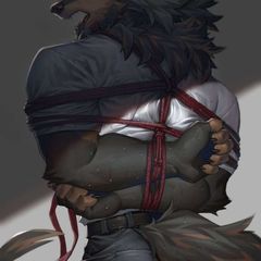 The Fox Cave Yiff/Kinky Stuff avatar