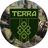 Чат TERRA